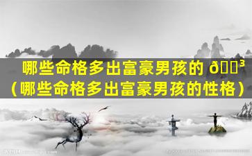哪些命格多出富豪男孩的 🐳 （哪些命格多出富豪男孩的性格）